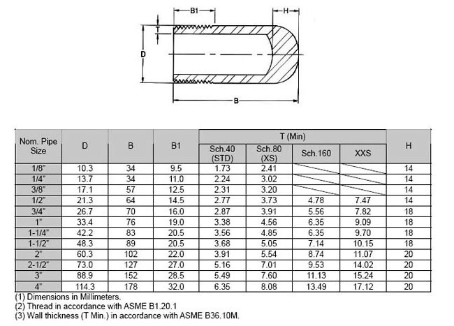 bull plug dimensions