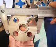 Stainless Steel 316L Forged Flanges