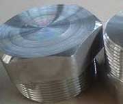 Inconel 600 Threaded Plug